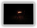 IMG_0844