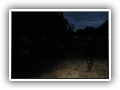 IMG_0878