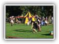 DSC01454