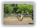 IMG_1748